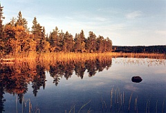 1999 - Norvège 22 (Suède))